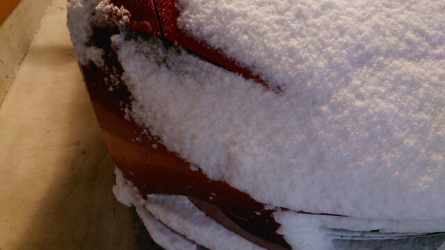250208_01.jpg